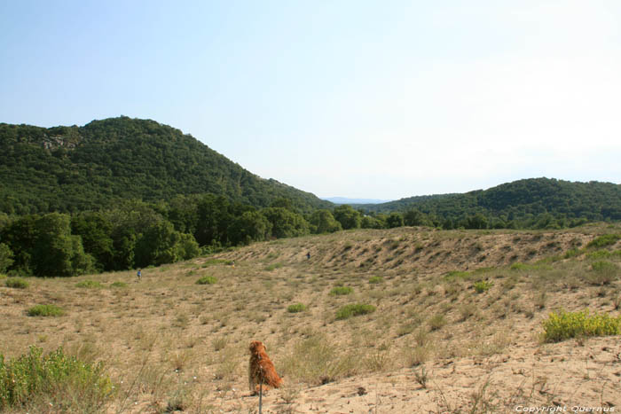 Vue sur Valle de Ropotami Dyuny / Bulgarie 