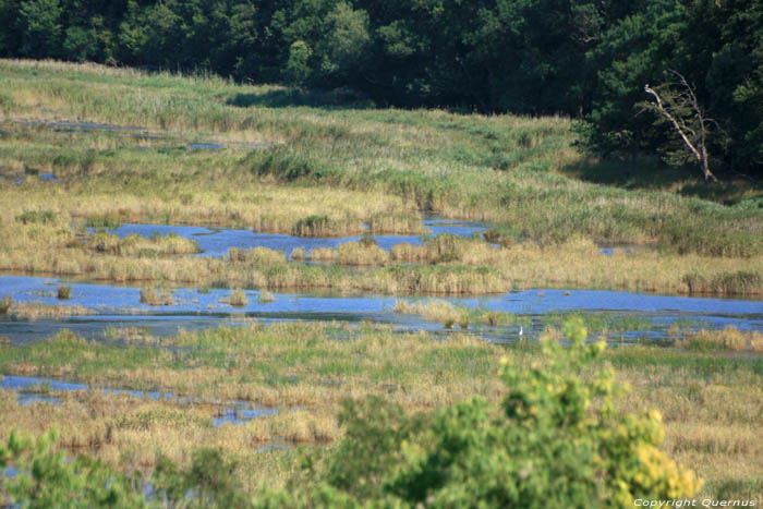 Ropotami Swamp Dyuny / Bulgaria 