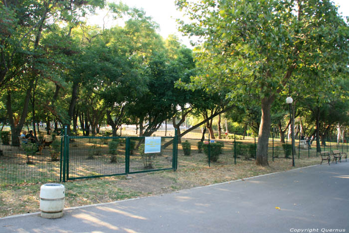 Large Dog Area Burgas / Bulgaria 