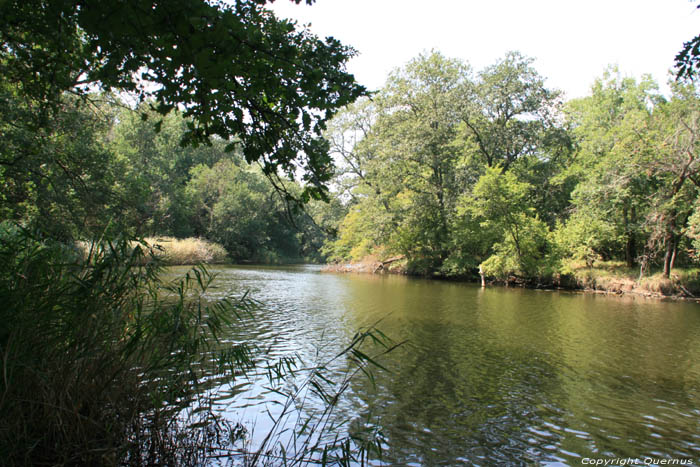 Ropotami Rivier Primorsko / Bulgarije 