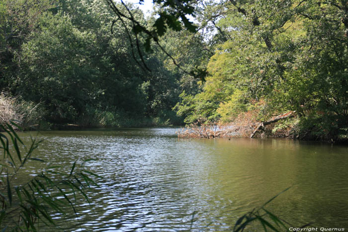 Ropotami River Primorsko / Bulgaria 