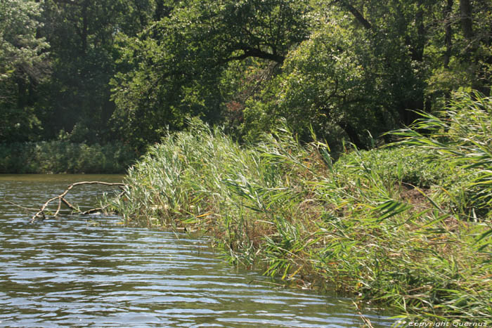 Ropotami Rivier Primorsko / Bulgarije 