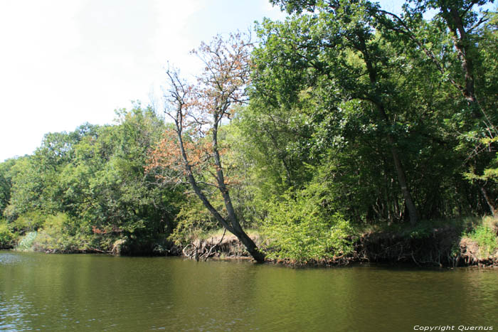 Ropotami Rivier Primorsko / Bulgarije 