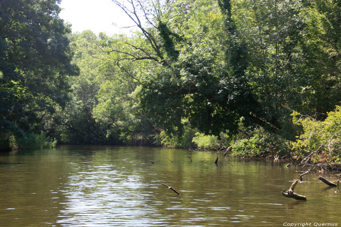 Ropotami Rivier Primorsko / Bulgarije 