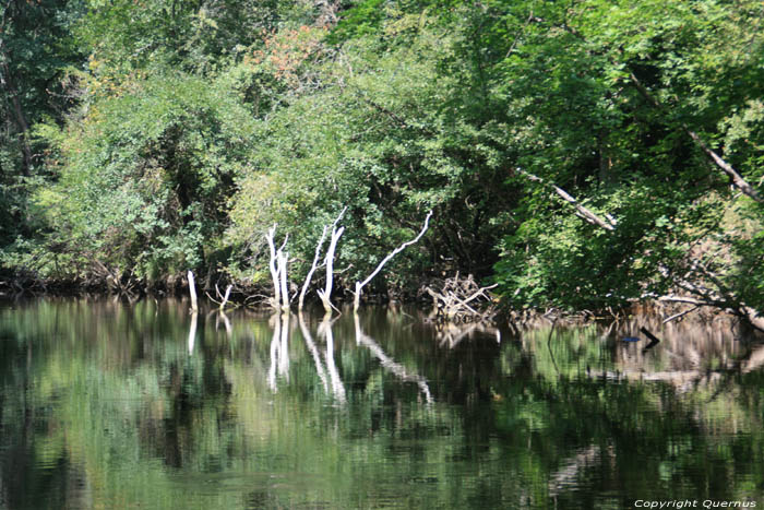 Ropotami Rivier Primorsko / Bulgarije 