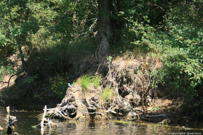 Ropotami Rivier Primorsko / Bulgarije 