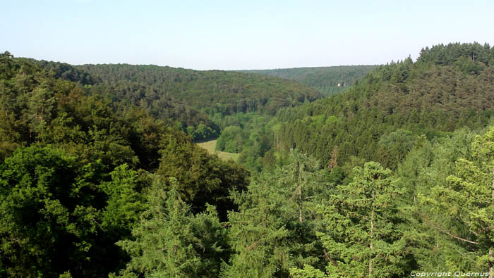 Landscape Hollenfels / Luxembourg 