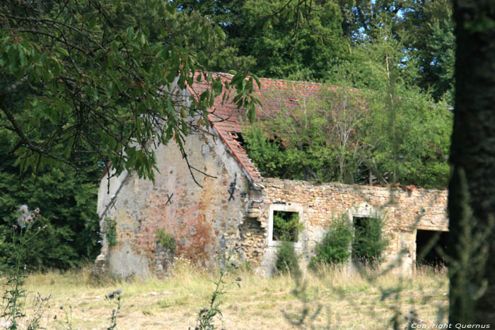 Onbekende rune Mullerthal / Luxemburg 