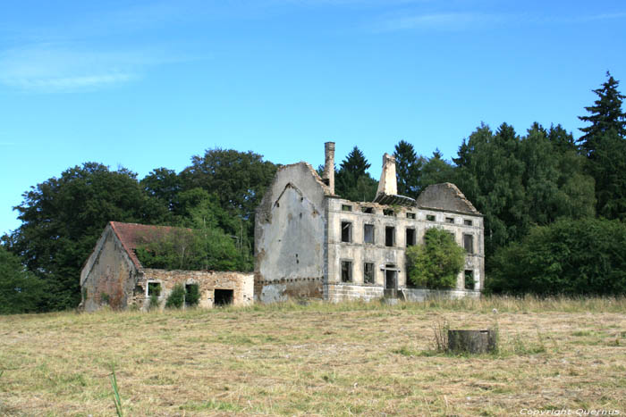 Onbekende rune Mullerthal / Luxemburg 