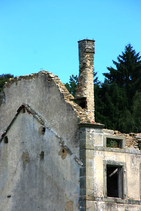 Onbekende rune Mullerthal / Luxemburg 