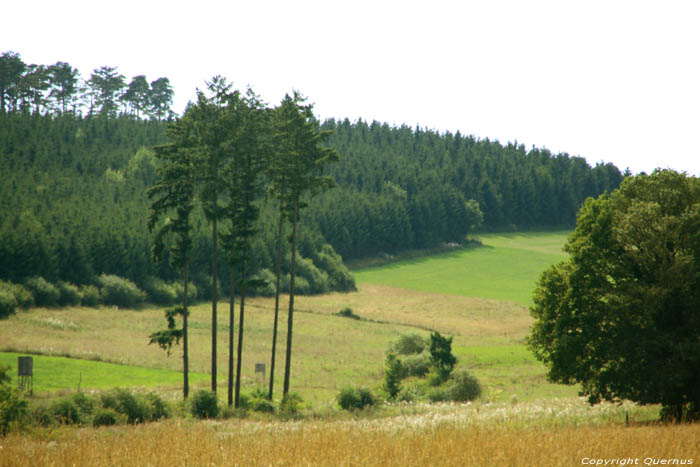 Landschap Klein Zwitersland Mullerthal / Luxemburg 