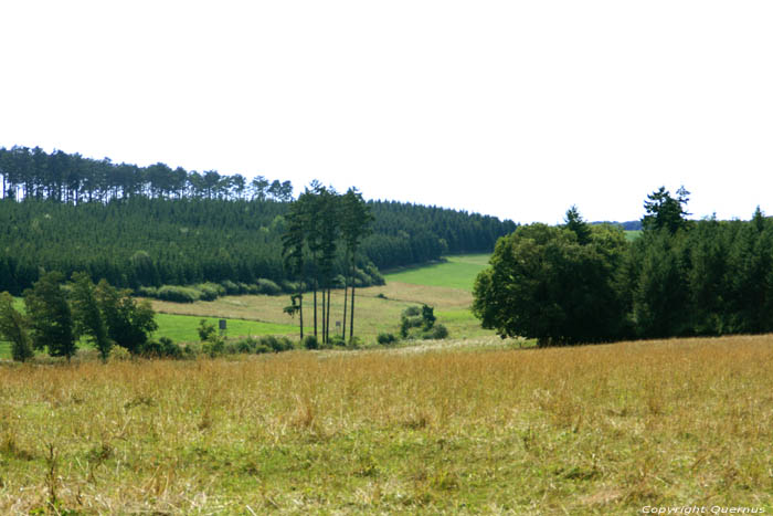 Landschap Klein Zwitersland Mullerthal / Luxemburg 