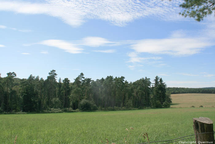 Landschap Klein Zwitersland Mullerthal / Luxemburg 