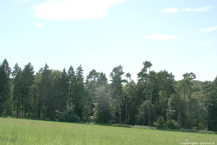 Paysage Mullerthal / Luxembourg 