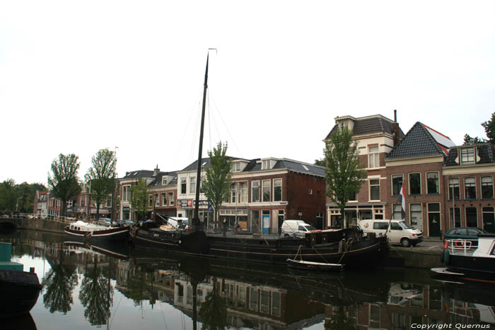 Rildiena Leeuwarden / Pays Bas 