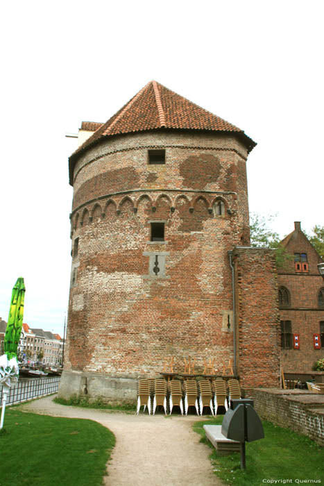 Wine Carriers Tower Zwolle in ZWOLLE / Netherlands 