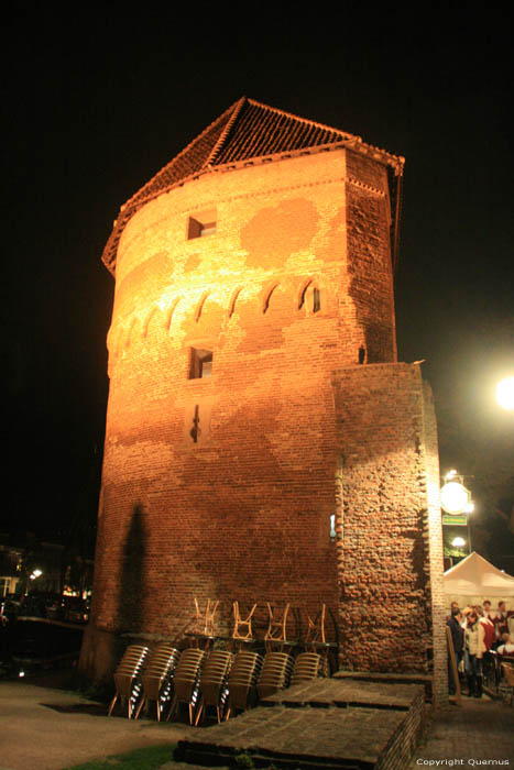 Wine Carriers Tower Zwolle in ZWOLLE / Netherlands 