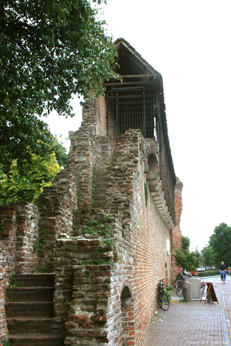 Stadsmuur tussen Pelserpoort en Diezerpoort Zwolle in ZWOLLE / Nederland 