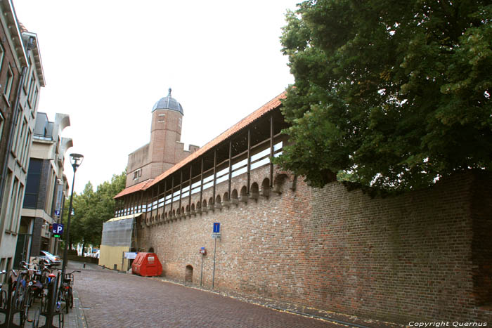 Stadsmuur tussen Pelserpoort en Diezerpoort Zwolle in ZWOLLE / Nederland 