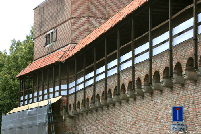 Stadsmuur tussen Pelserpoort en Diezerpoort Zwolle in ZWOLLE / Nederland 