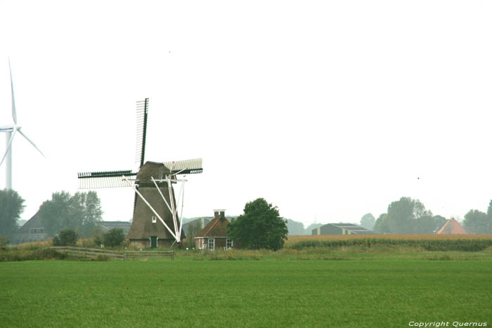 Meerswal Molen Bolsward / Nederland 