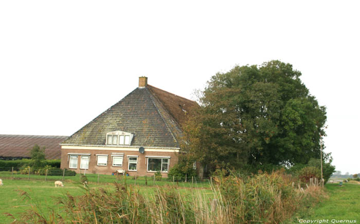 Ferme van der Sluis - Graete Vlaeren Bolsward / Pays Bas 