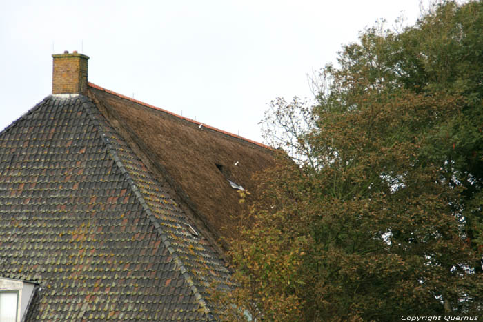 Hoeve van der Sluis - Groot Berghuis - Graete Vlaeren Bolsward / Nederland 