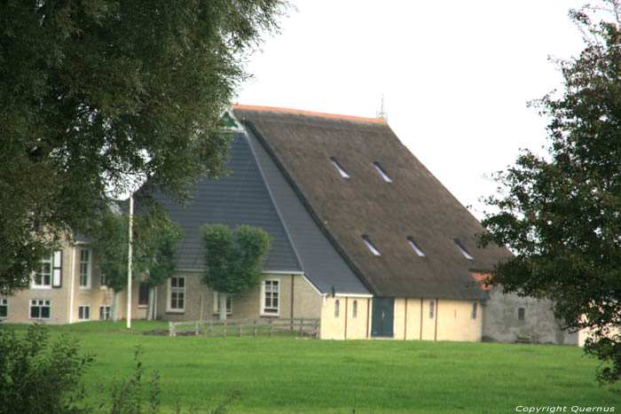 Farm van der Sluis - Graete Vlaeren Bolsward / Netherlands 