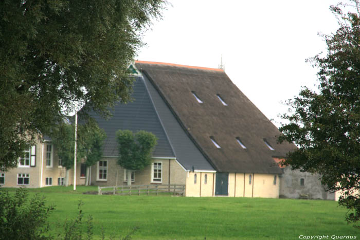 Ferme van der Sluis - Graete Vlaeren Bolsward / Pays Bas 