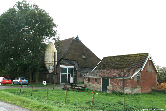 Hoeve van der Sluis - Groot Berghuis - Graete Vlaeren Bolsward / Nederland 