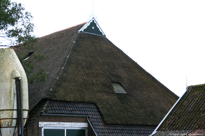 Ferme van der Sluis - Graete Vlaeren Bolsward / Pays Bas 