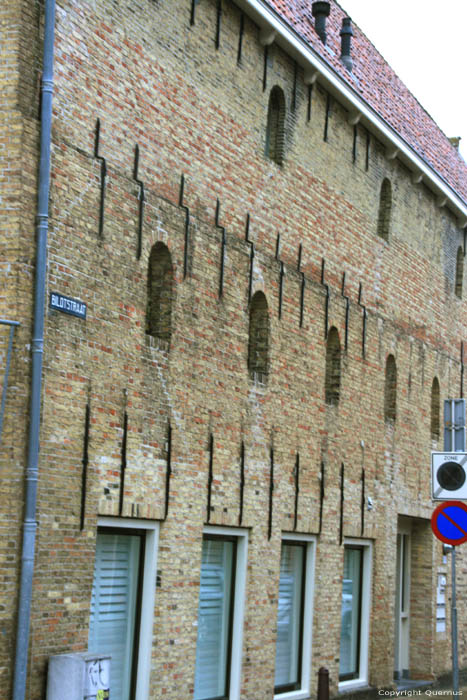Oud Pakhuis met heel veel muurankers Harlingen / Nederland 