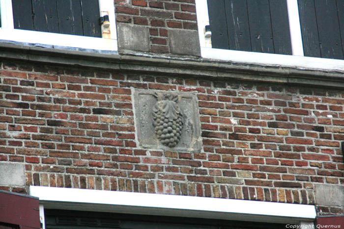 Druiventros Pakhuis Harlingen / Nederland 