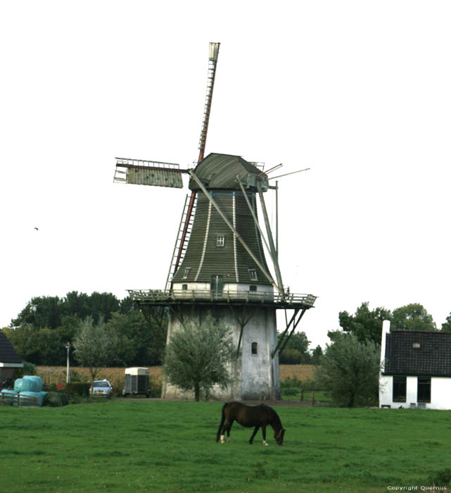 Moulin Eureka Klein Wetsinge  Winsum / Pays Bas 