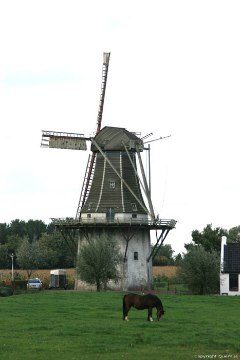 Moulin Eureka Klein Wetsinge  Winsum / Pays Bas 