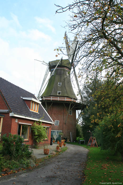 Moulin Aeolus Adorp / Pays Bas 