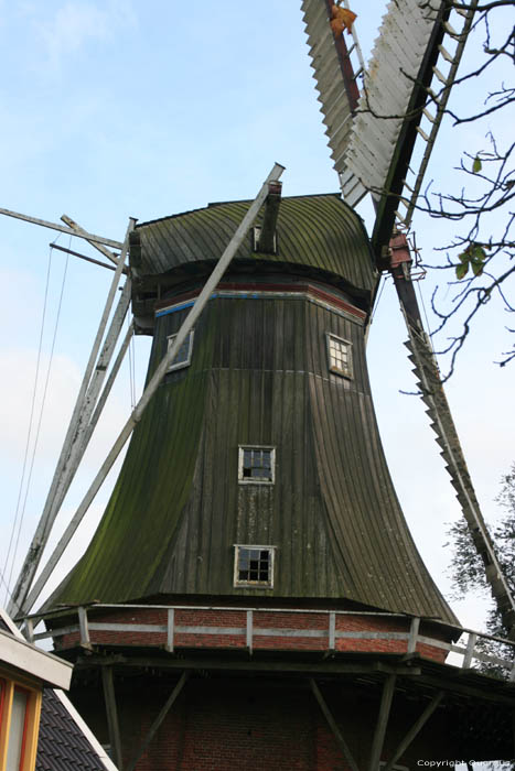 Aeolus Mill Adorp / Netherlands 