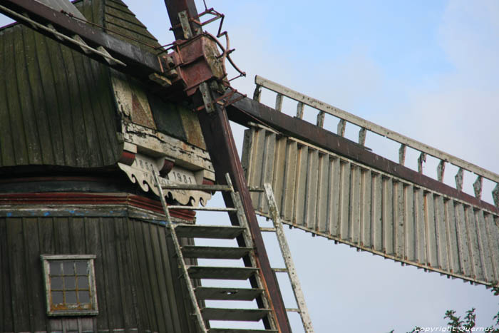 Aeolus Mill Adorp / Netherlands 