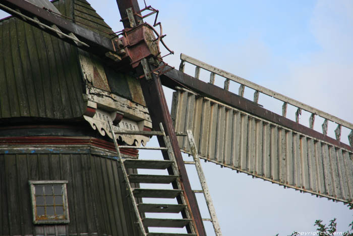 Moulin Aeolus Adorp / Pays Bas 