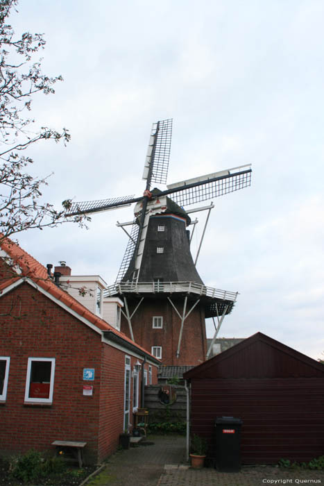 Welvaart Molen Mensingeweer / Nederland 