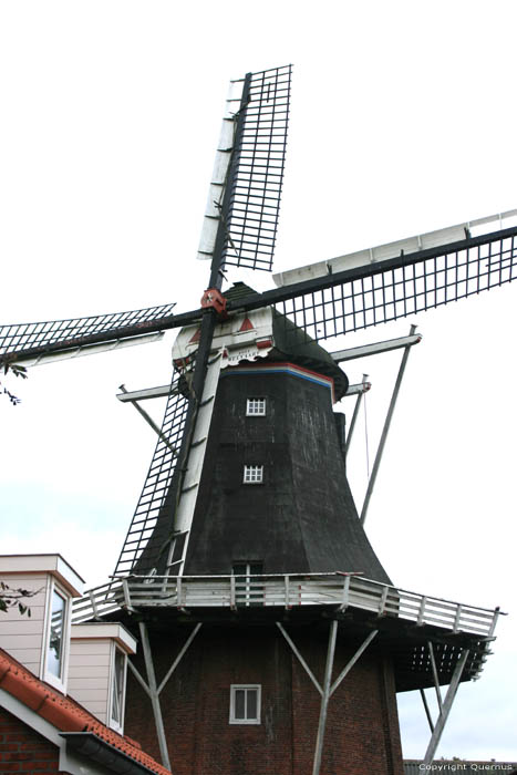 Moulin Welvaart (Prosperit) Mensingeweer / Pays Bas 