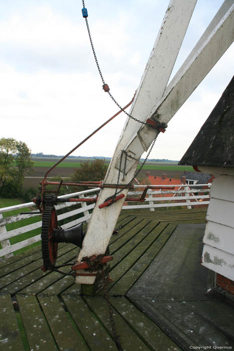 Moulin Welvaart (Prosperit) Mensingeweer / Pays Bas 