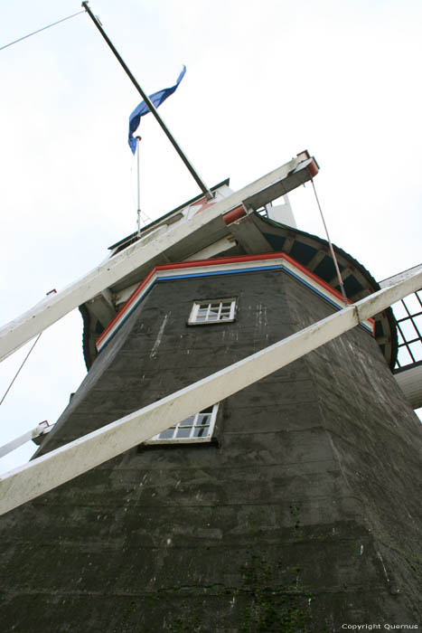 Moulin Welvaart (Prosperit) Mensingeweer / Pays Bas 