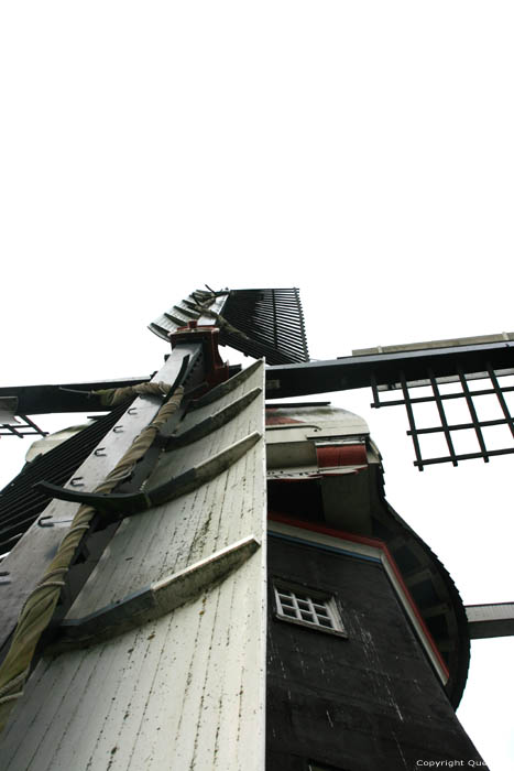 Welvaart Molen Mensingeweer / Nederland 