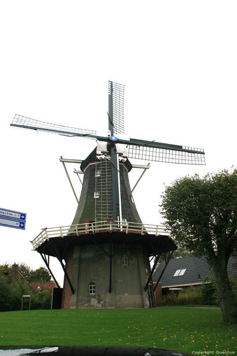 Molen De Vier Winden Pieterburen / Nederland 