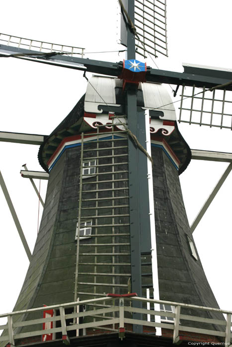 Molen De Vier Winden Pieterburen / Nederland 