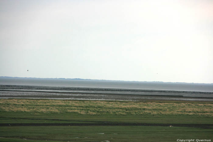 Negenboerenpolder Pieterburen / Nederland 