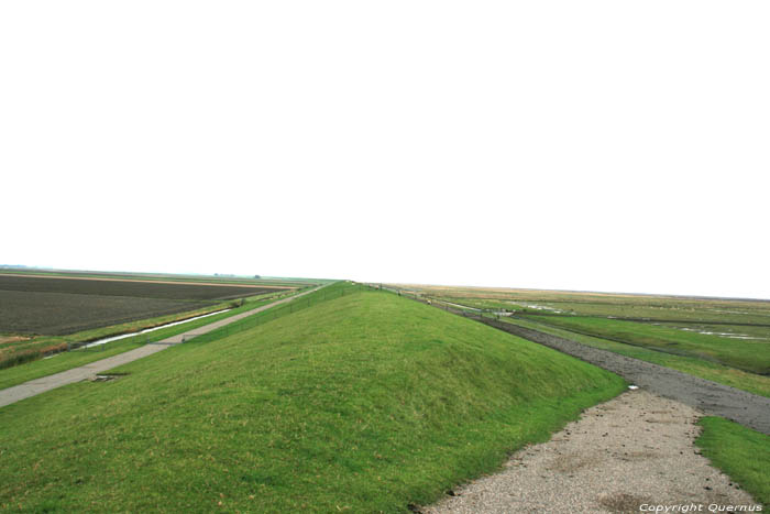 Negenboerenpolder Pieterburen / Nederland 