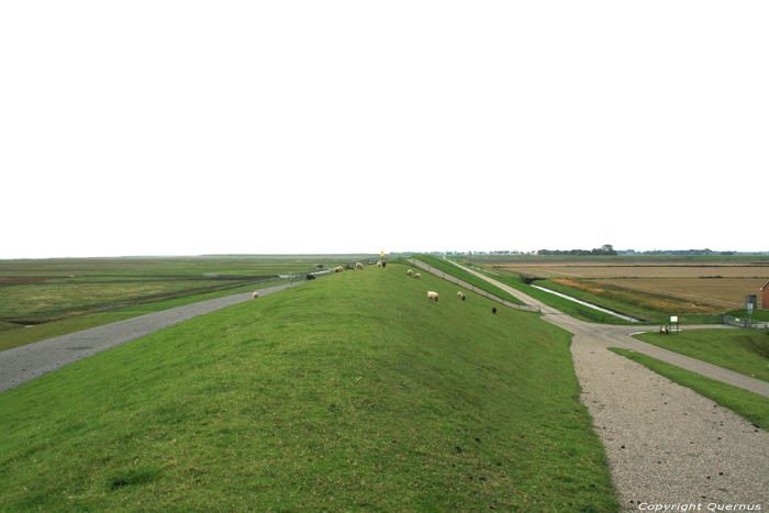 Negenboerenpolder Pieterburen / Nederland 