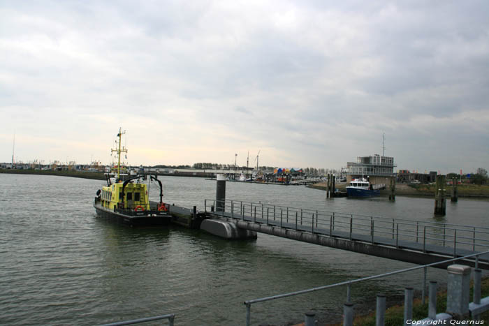 View on Harbor Lauwersoog / Netherlands 